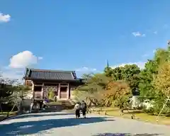 仁和寺の山門
