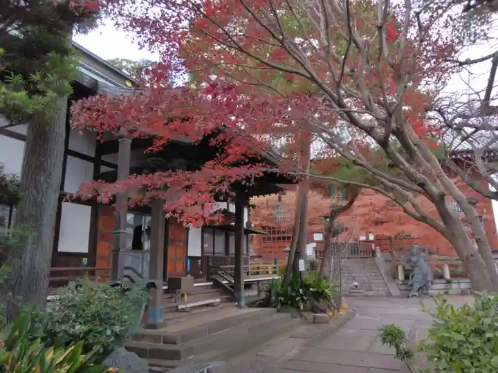 養玉院如来寺(東京都)