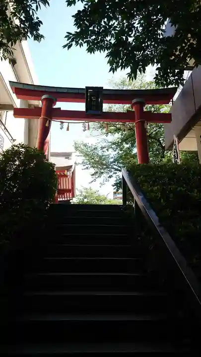 神田神社(神田明神)の鳥居
