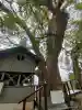 藤白神社の{uncategorized: "未分類", other: "その他", undefined: "問題あり", building: "その他建物", grave: "お墓", sacred_gate: "鳥居", guardian: "狛犬", statue: "像", buddha: "仏像", history: "歴史", nature: "自然", garden: "庭園", animal: "動物", pagoda: "塔", temizu: "手水舎", mountain_gate: "山門・神門", sanctuary: "本殿・本堂", subordinate: "末社・摂社", art: "芸術", scenery: "景色", jizo: "地蔵", ema: "絵馬", goshuin: "御朱印", omikuji: "おみくじ", items: "授与品その他", amulet: "お守り", goshuincho: "御朱印帳", eats: "食事", festival: "お祭り", votive_dance: "神楽", shichigosan: "七五三参", wedding: "結婚式", experience: "体験その他", initially: "初詣", around: "周辺", anti_infection: "感染症対策"}