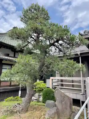 成就寺(千葉県)