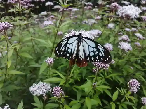 播州清水寺の自然