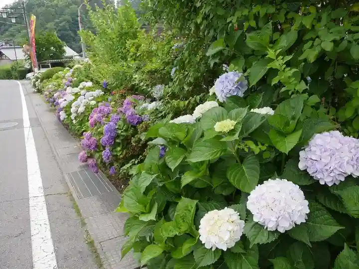 北向観音の自然