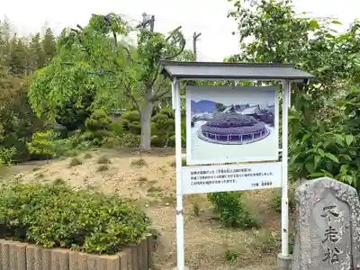 曼荼羅寺の自然