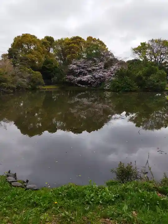 菊田神社の周辺