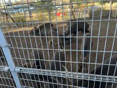 相州春日神社(神奈川県)