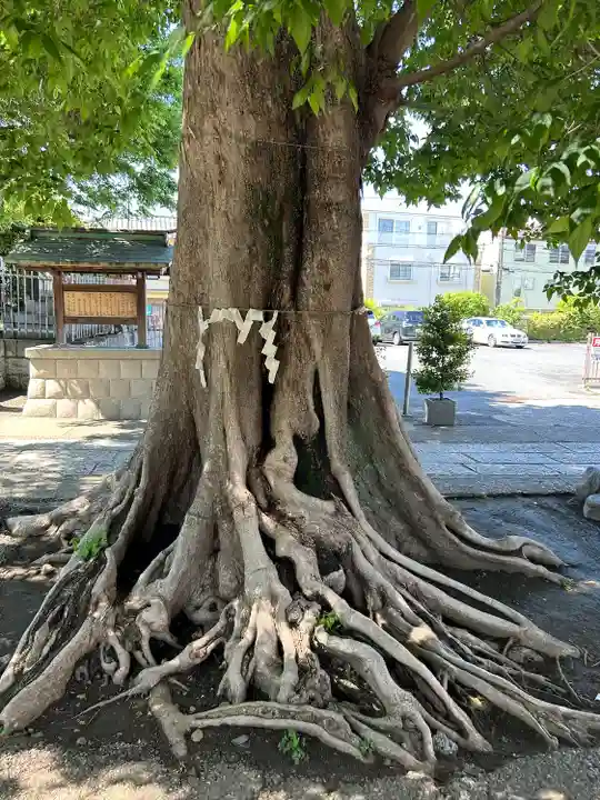 滝野川八幡神社(東京都)