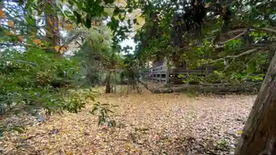 岩湧寺(大阪府)