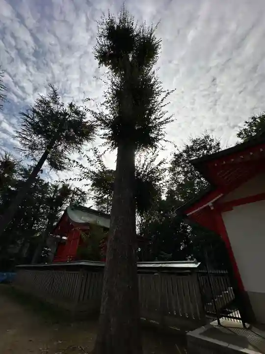 小野神社(東京都)