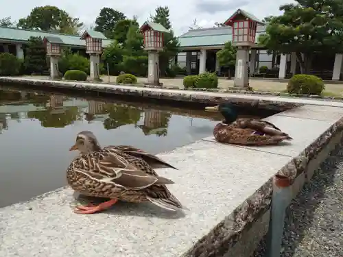 霊山観音(京都府)