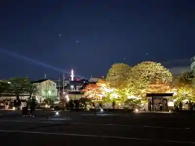 東寺（教王護国寺）(京都府)