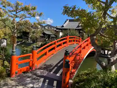 神泉苑(京都府)