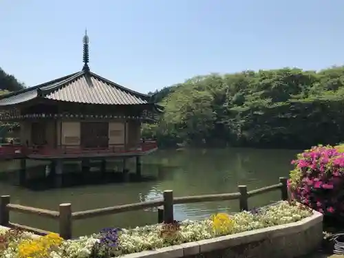 安倍文殊院 の庭園