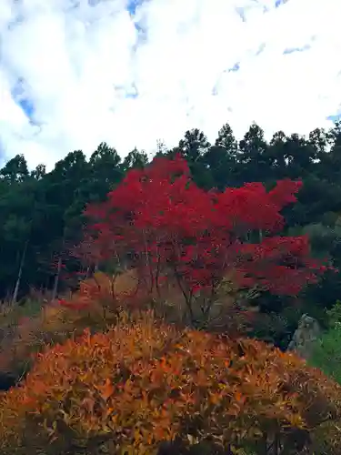 明通寺(福井県)