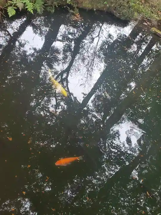大神神社の動物