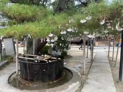 智恩寺(京都府)