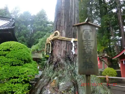 北口本宮冨士浅間神社(山梨県)