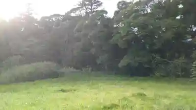 熊野神社の自然