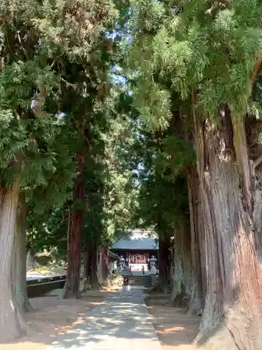 河口浅間神社のその他建物