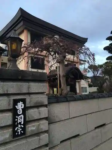 天童寺の自然