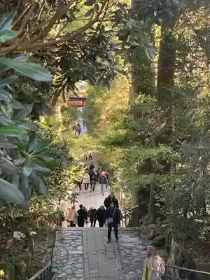 箱根神社(神奈川県)