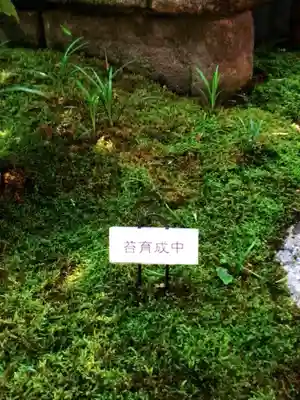 陽運寺(東京都)