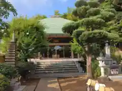 妙蓮寺(神奈川県)