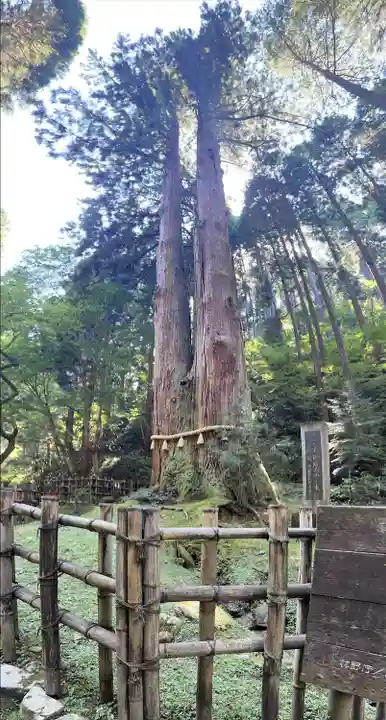 御岩神社の自然