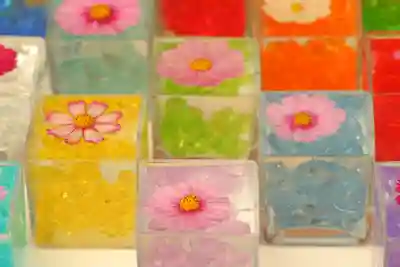 般若寺 ❁﻿コスモス寺❁(奈良県)