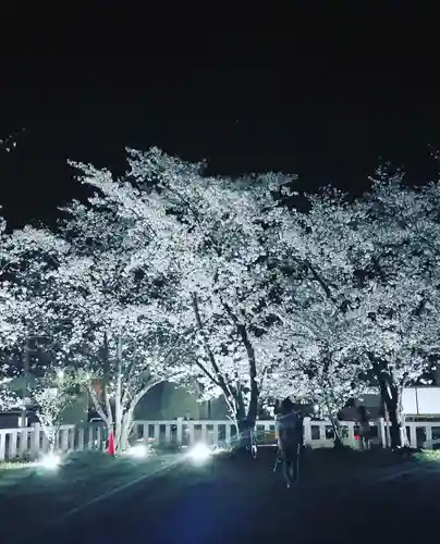 小垣江神明神社の自然