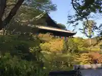 長谷寺の自然