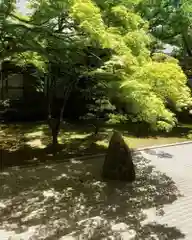 高野山金剛峯寺の庭園