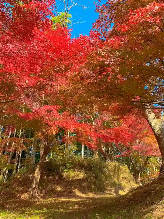 談山神社(奈良県)