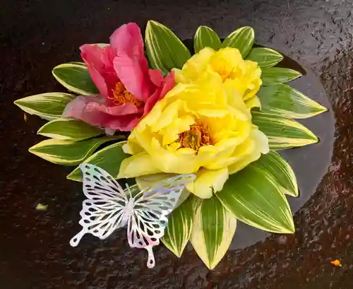 真言宗　善通寺派　薬王寺(香川県)