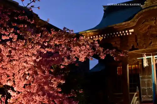 桜神宮(東京都)