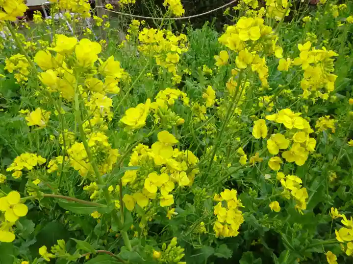 阿邪訶根神社の自然
