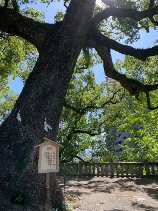 北岡神社の自然