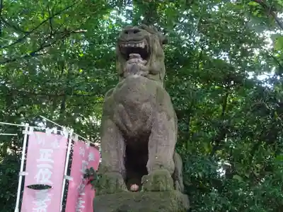 愛宕神社の狛犬