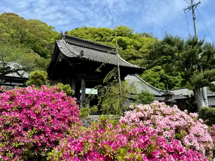 清見寺(静岡県)