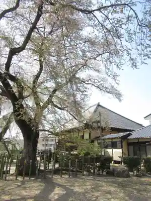 観音寺(茨城県)