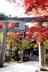 彌彦神社　(伊夜日子神社)(北海道)