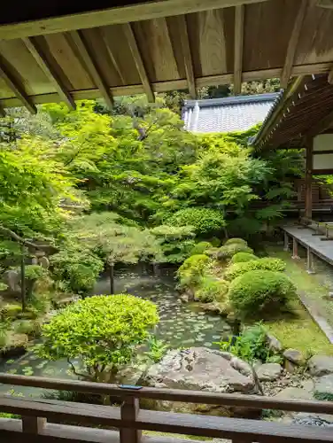 禅林寺（永観堂）(京都府)