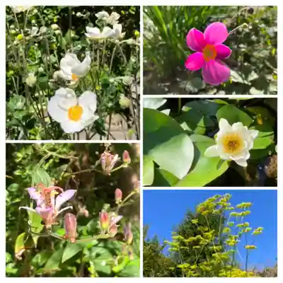 建長寺(神奈川県)