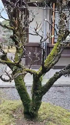 橿原神宮の自然