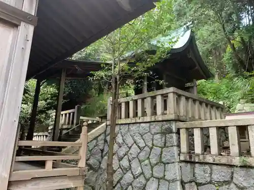 津島神社の本殿・本堂