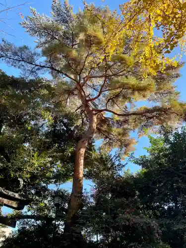 長崎神社(東京都)
