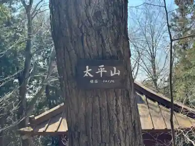 太平山神社の{uncategorized: "未分類", other: "その他", undefined: "問題あり", building: "その他建物", grave: "お墓", sacred_gate: "鳥居", guardian: "狛犬", statue: "像", buddha: "仏像", history: "歴史", nature: "自然", garden: "庭園", animal: "動物", pagoda: "塔", temizu: "手水舎", mountain_gate: "山門・神門", sanctuary: "本殿・本堂", subordinate: "末社・摂社", art: "芸術", scenery: "景色", jizo: "地蔵", ema: "絵馬", goshuin: "御朱印", omikuji: "おみくじ", items: "授与品その他", amulet: "お守り", goshuincho: "御朱印帳", eats: "食事", festival: "お祭り", votive_dance: "神楽", shichigosan: "七五三参", wedding: "結婚式", experience: "体験その他", initially: "初詣", around: "周辺", anti_infection: "感染症対策"}