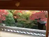 来迎寺(井戸来迎寺・紫雲山来迎寺)の庭園