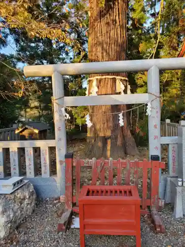 大杉神社の鳥居