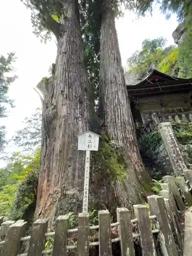 榛名神社(群馬県)